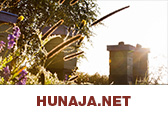 Hunaja.net